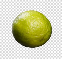 Lime Fresh Citrus Fruit download