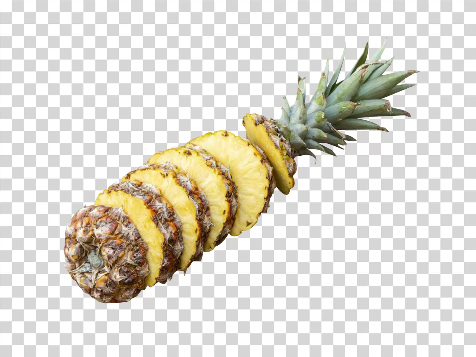 Pineapple Ananas Tropical Fruit Exotic Transparent
