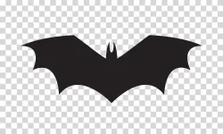 Bat Animal Icon Illustration PNG