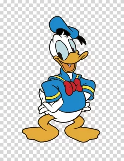 Donald Duck Animated Disney Duck Transparent