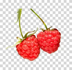 Raspberry Fresh Fruit Red Berry PNG