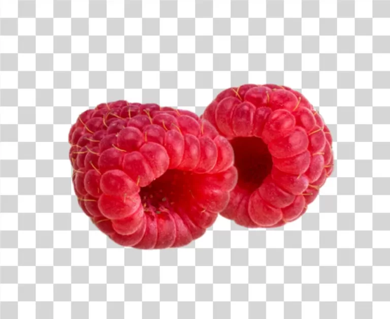 Raspberry Fruit Sweet Red Berry Transparent