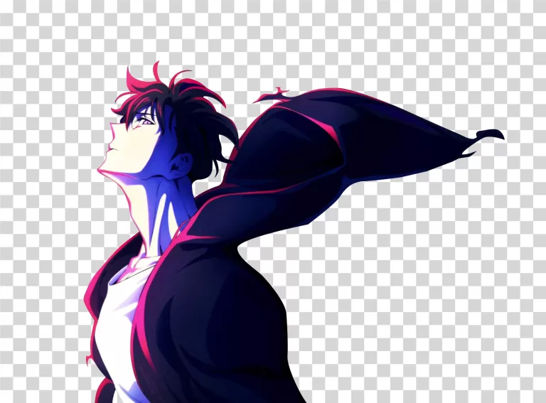 Sung Jinwoo Shadow Monarch Ascends