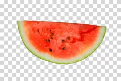 Watermelon Slice Juicy Summer Transparent