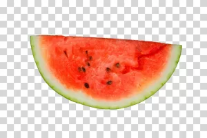 Watermelon Slice Juicy Summer Transparent