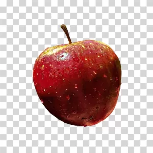 Apple Fresh Red Fruit PNG