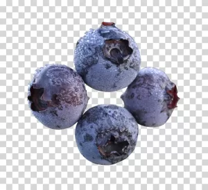 Blueberry Fresh Fruit Healthy Snack Transparent