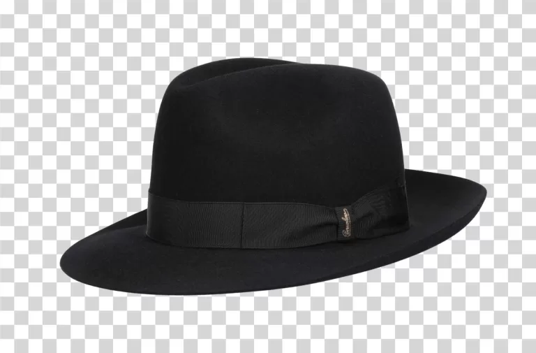 Felt Hat Classic Black Headwear Transparent