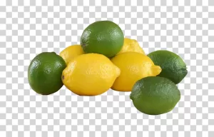 Lemon Lime Citrus Fruits Green and Yellow PNG