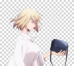 Cha Hae-In S Rank Hunter png