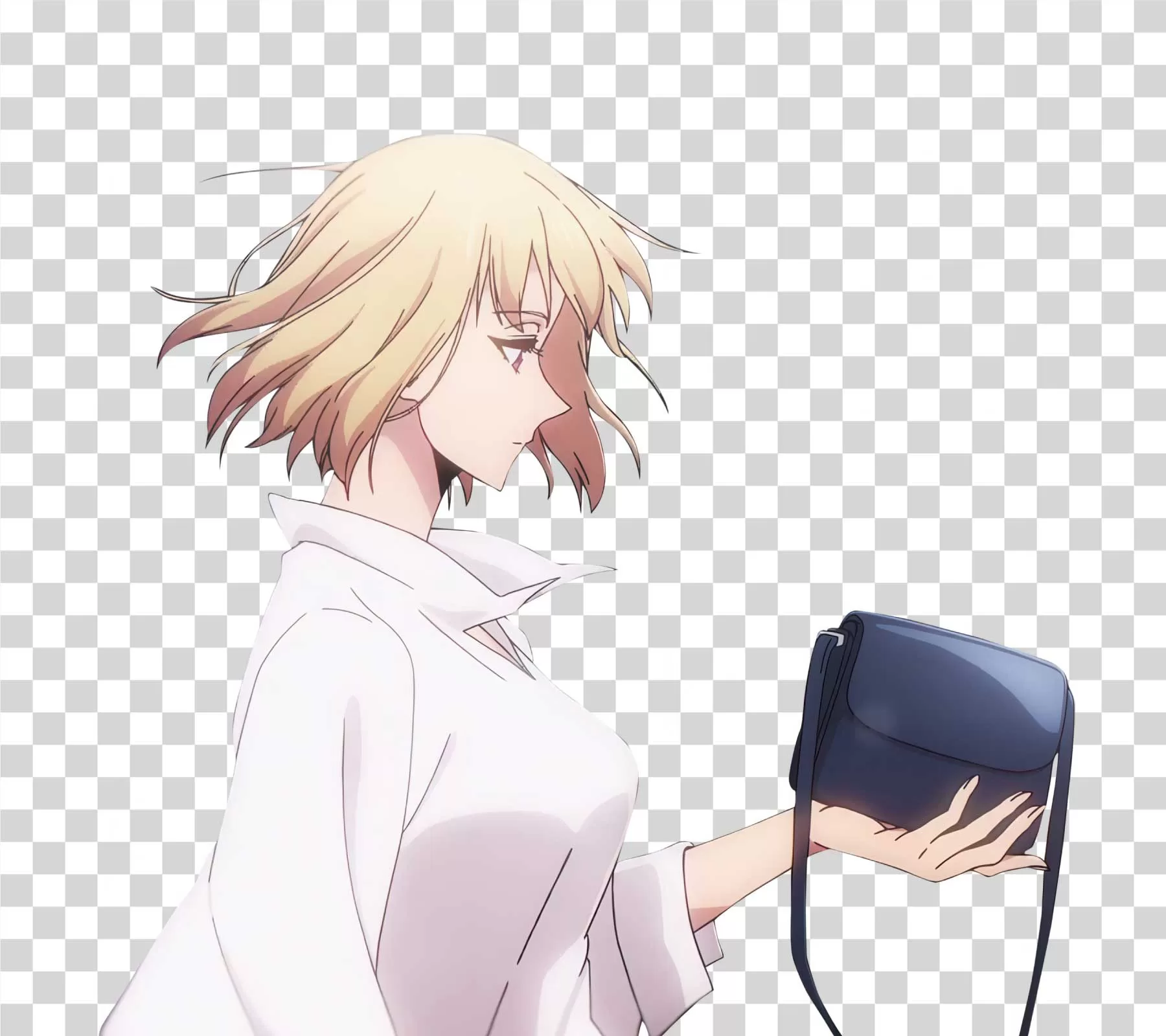 Cha Hae-In S Rank Hunter png