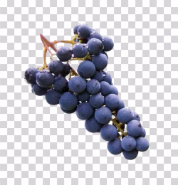 Grapes PNG Image