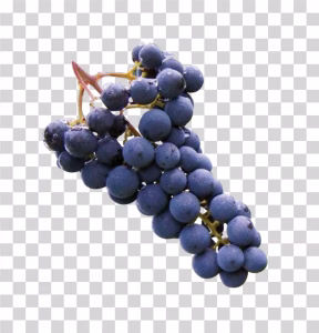 Grapes PNG Image
