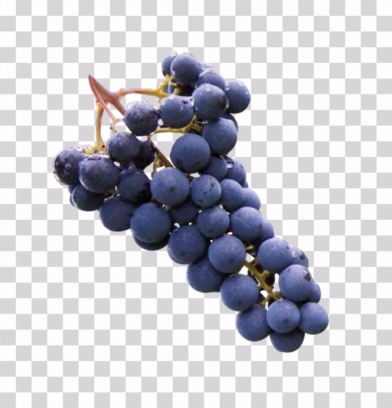 Grapes PNG Image