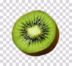 Kiwi Fruit Half Slice png