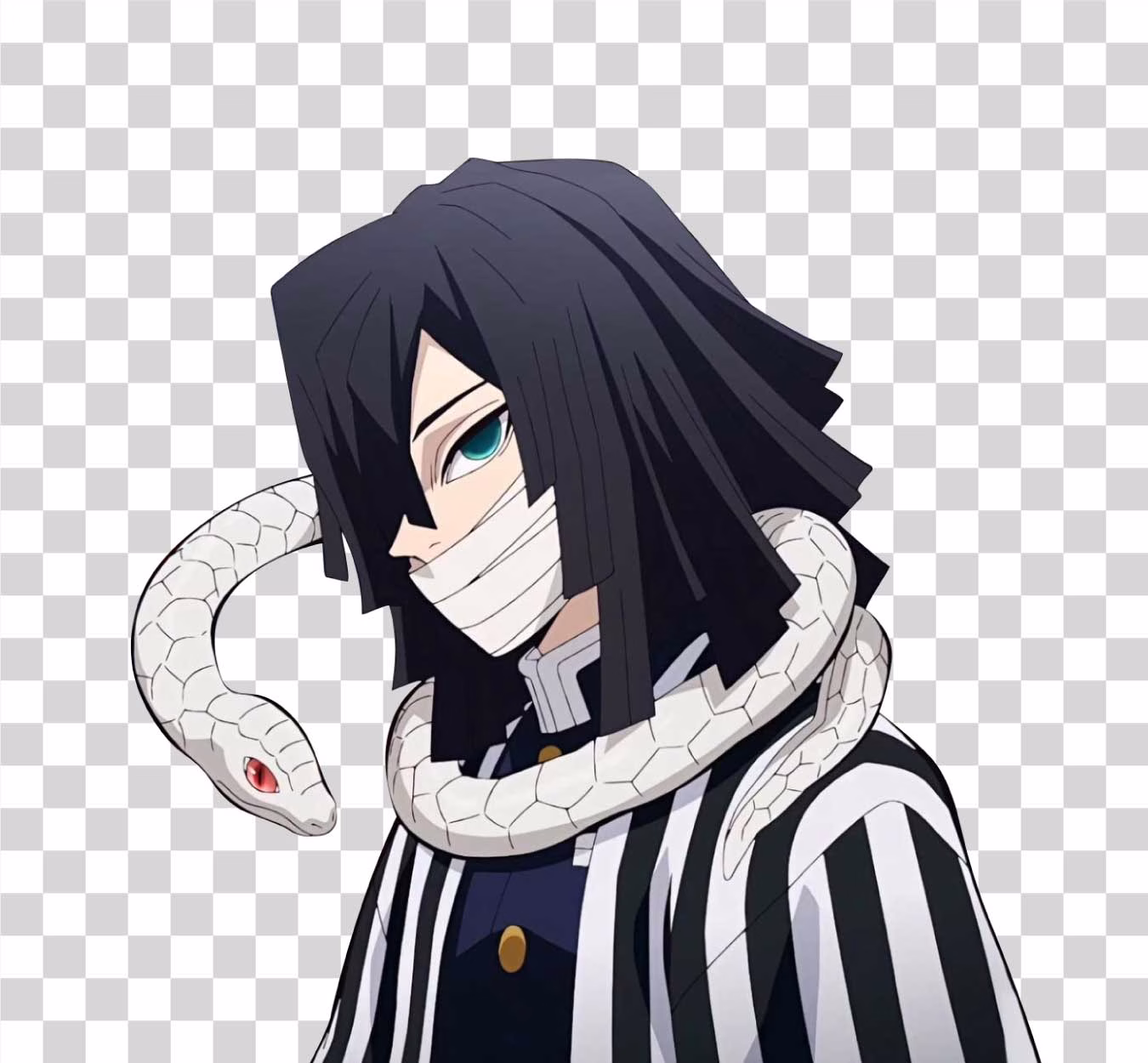 Obanai Iguro Demon Slayer PNG Image
