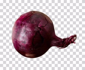 Onion Fresh Vegetable PNG