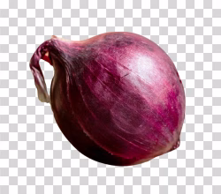 Onion Whole Fresh Vegetable png image