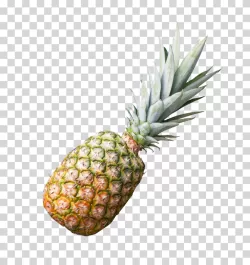 Pineapple Tropical Fruit PNG Image
