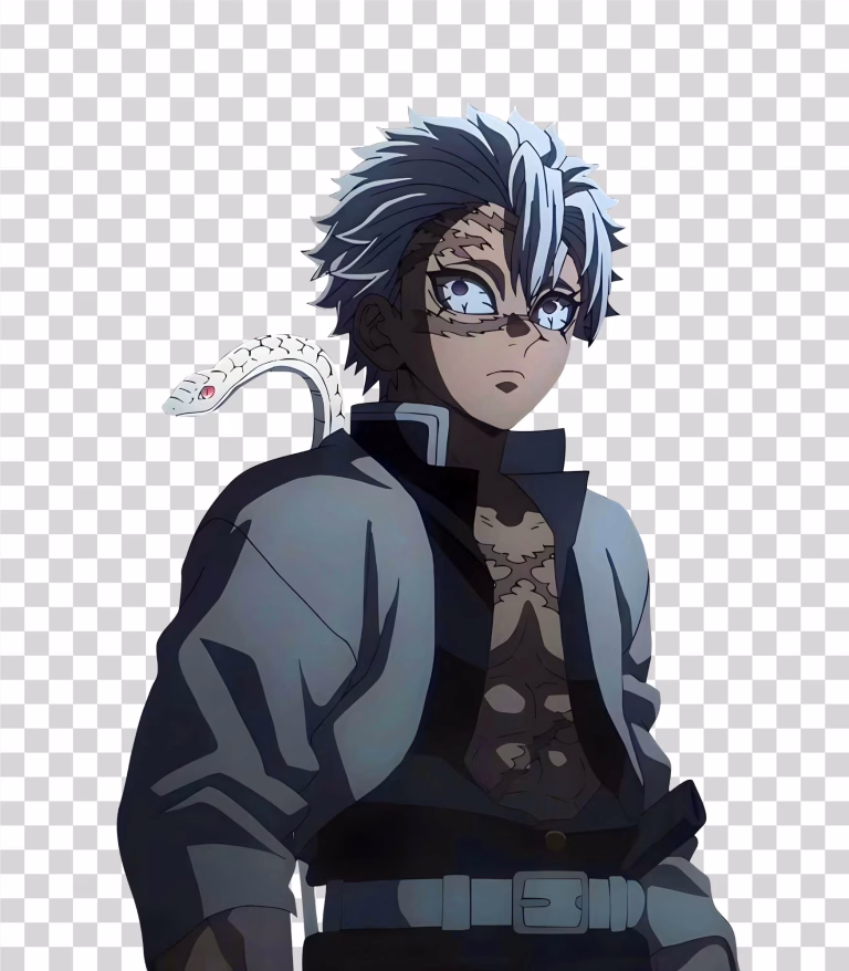 Sanemi Shinazugawa Demon Slayer Wind Hashira Transparent image