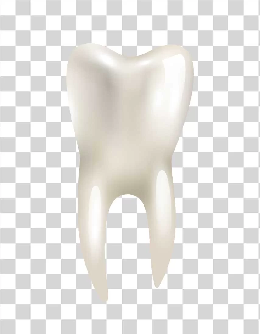 Tooth White Molar Icon png image