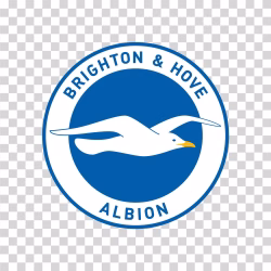 Brighton and Hove Albion FC PNG Logo