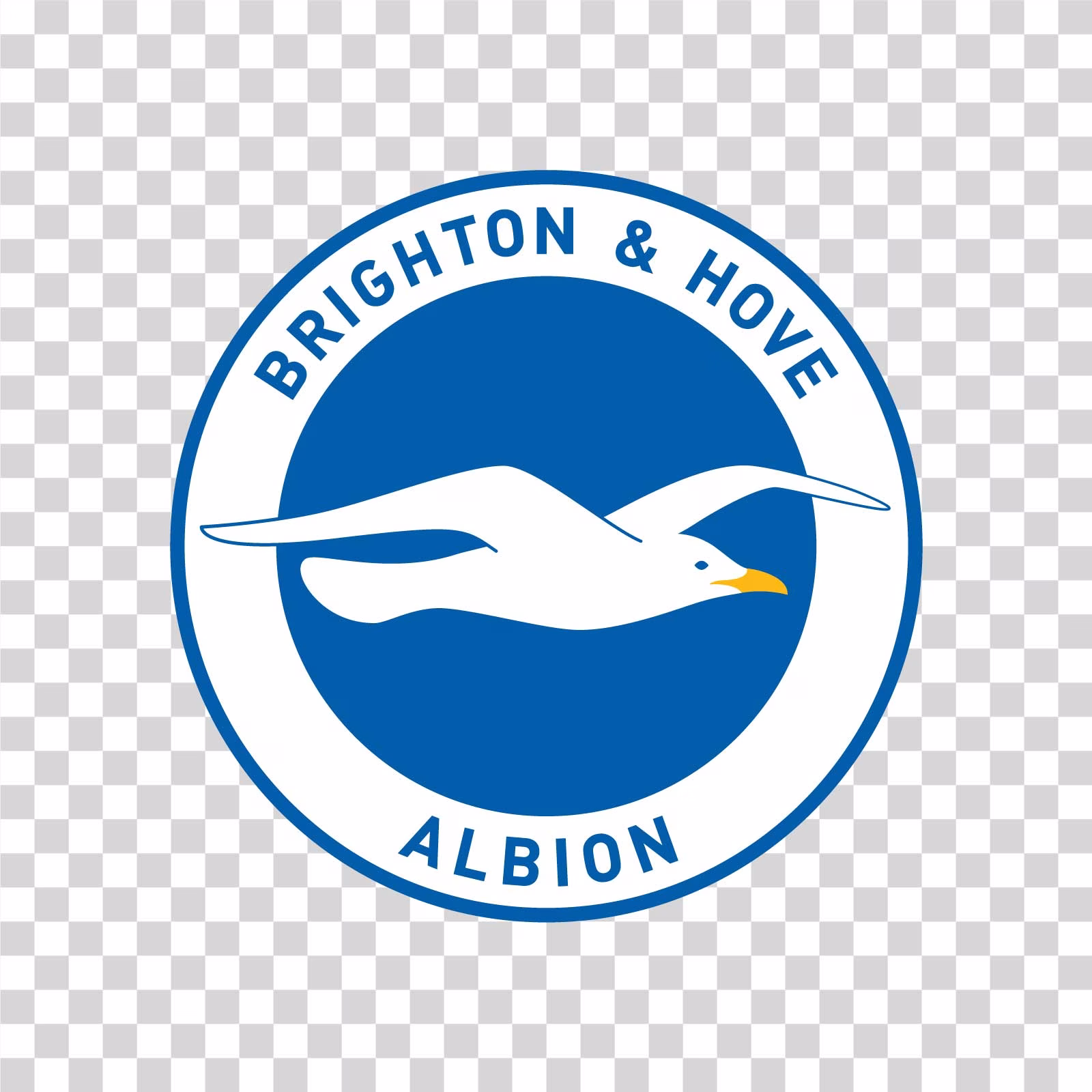 Brighton and Hove Albion FC PNG Logo