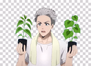 Hajime Umemiya Wind Breaker Bofurin Leader