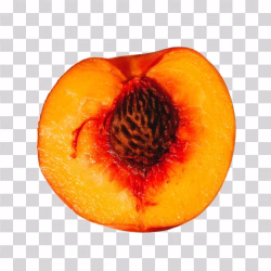 Half Peach Fruit Slice PNG