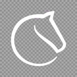 Lichess White Logo PNG