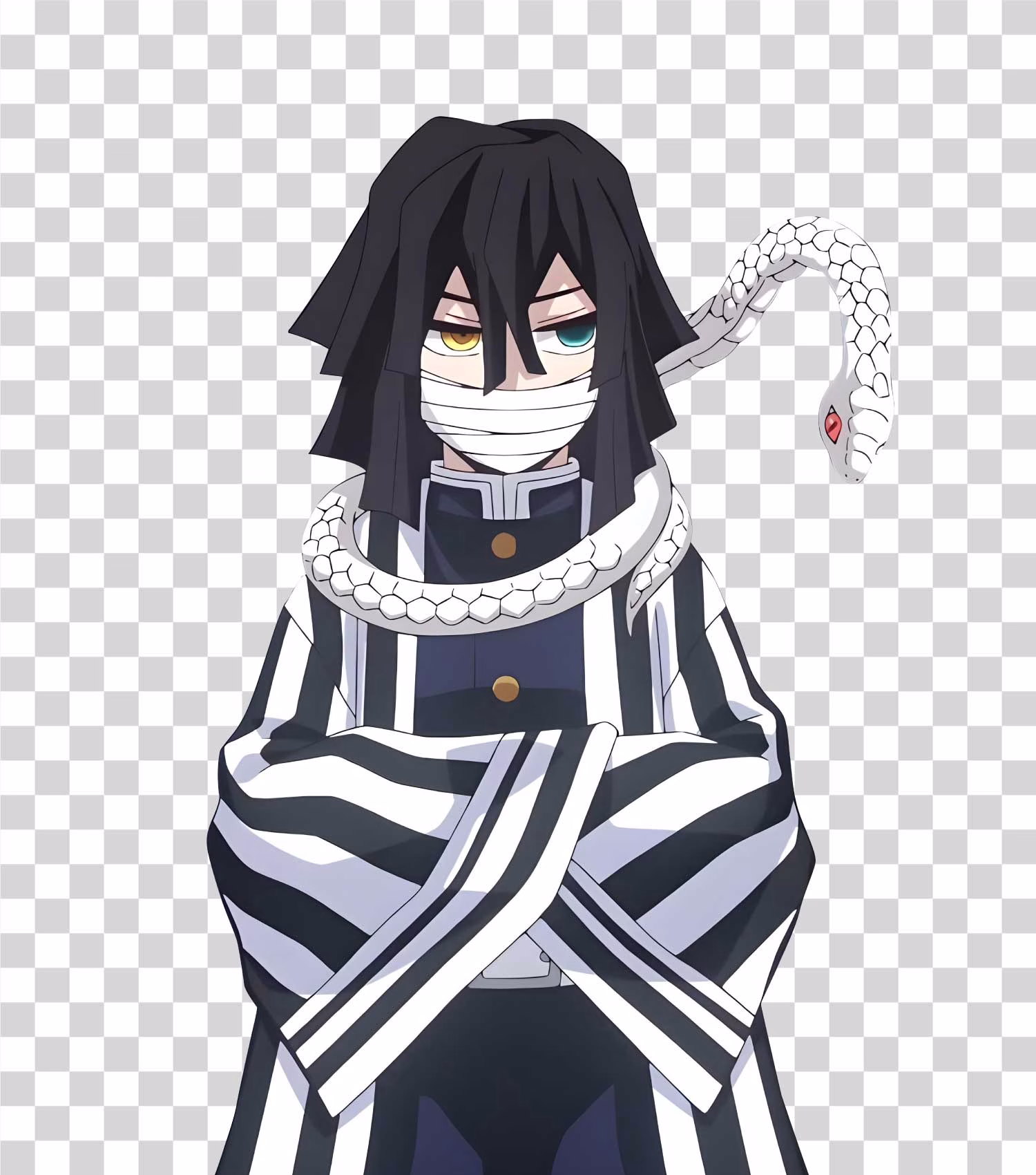 Obanai Iguro Demon Slayer Hashira PNG
