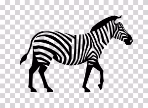 Zebra Icon Animal Symbol PNG