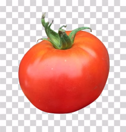 Tomato Fresh Red Vegetable PNG Image