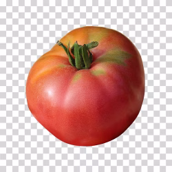 Tomato Fresh Red Vegetable PNG Image