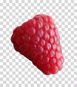 Raspberry PNG