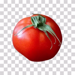 Tomato Fresh Vegetable png