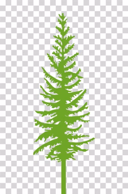 Tree Silhouette PNG