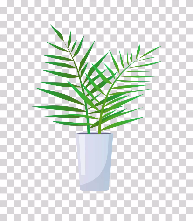 Areca Palm PNG Transparent