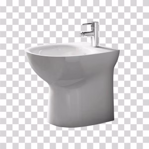 Bidet-Bathroom-Hygiene-Fixture