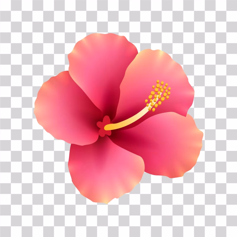 Tropical Hibiscus Flower Transparent Image
