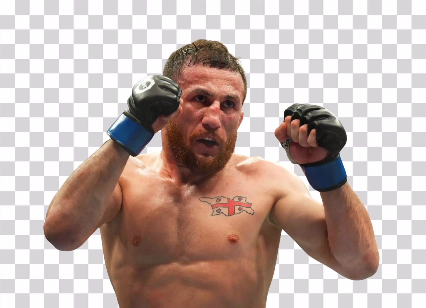 Merab Dvalishvili PNG