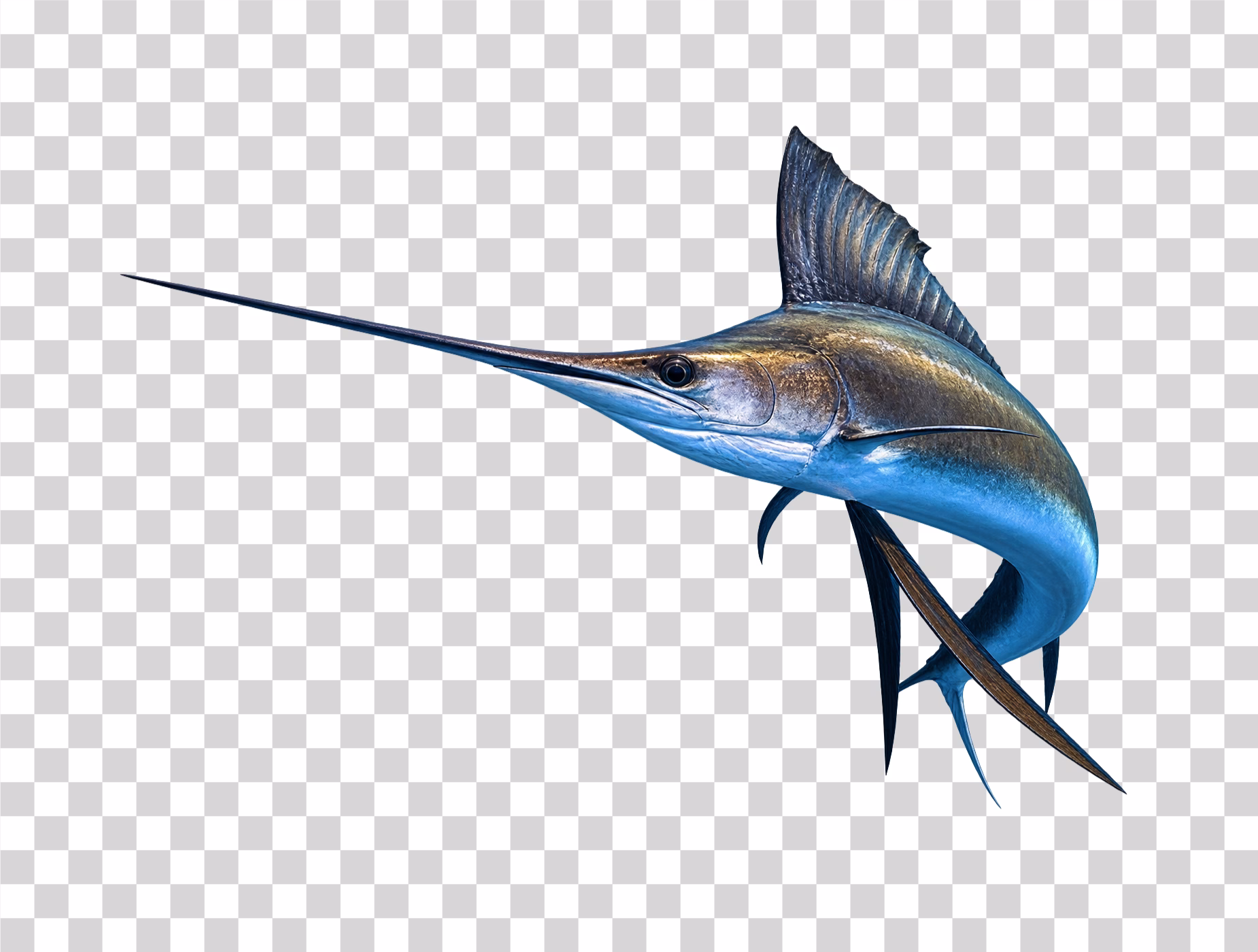 Swordfish png image