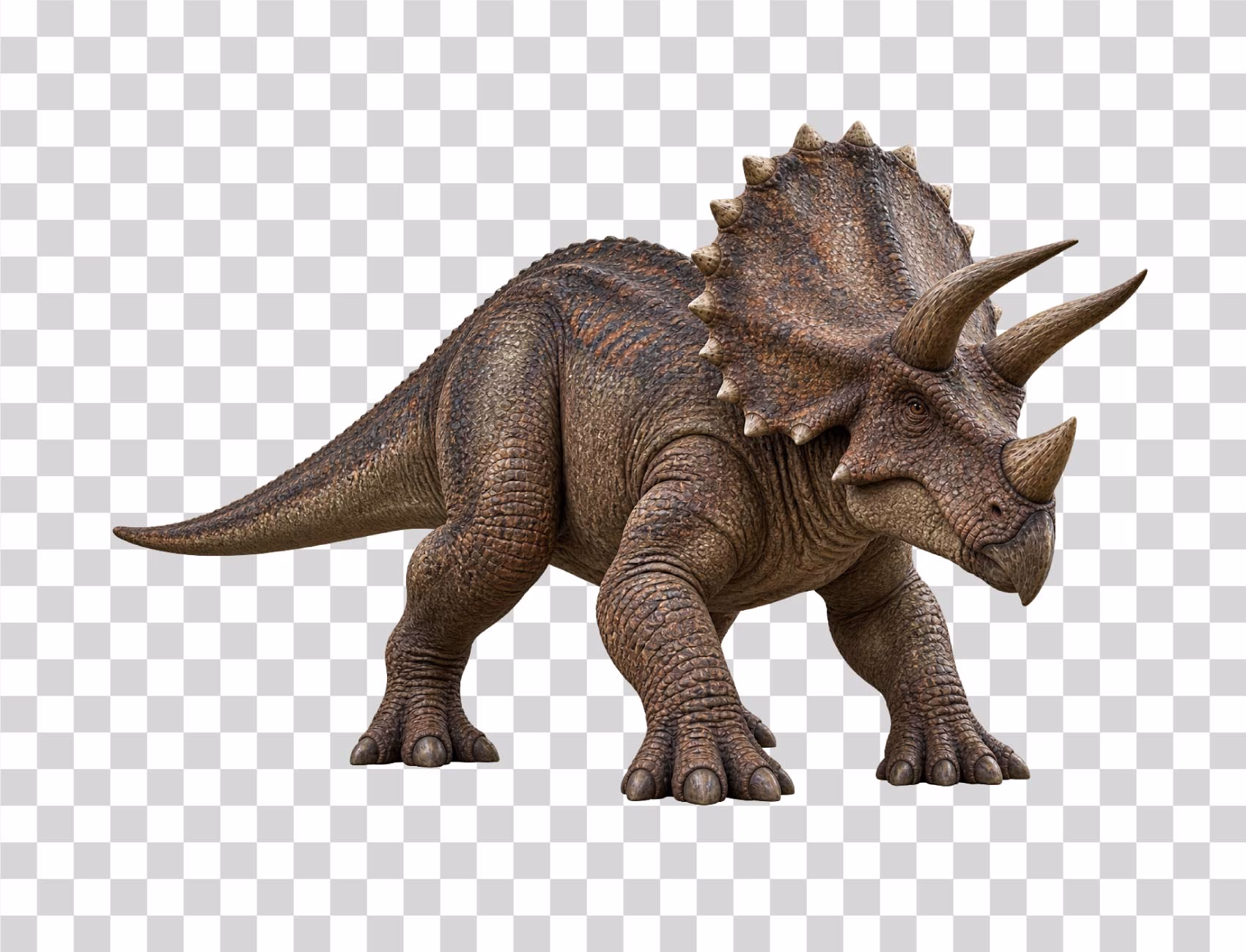 Triceratops png