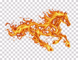 Fire Horse Running
