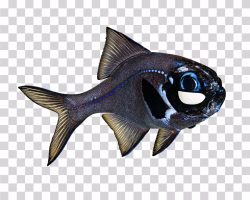 Flashlight Fish PNG