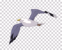 Seagull in Anime Style