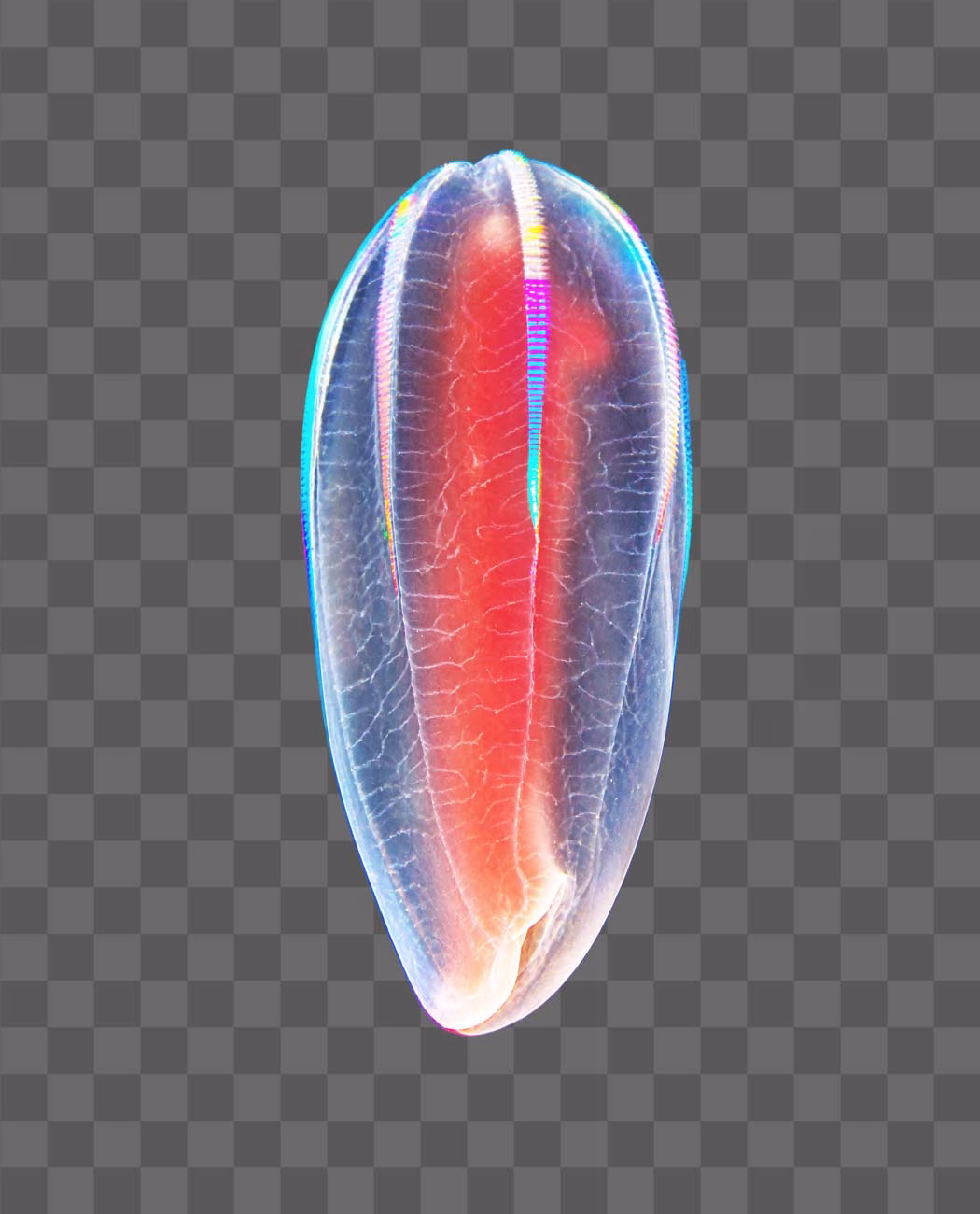 Abyssal Comb Jelly