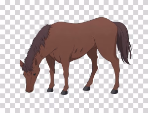 Horse in Anime Style
