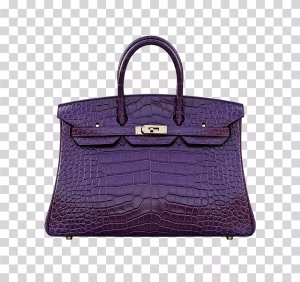 Women’s Handbag